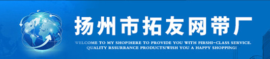 钎焊炉网带