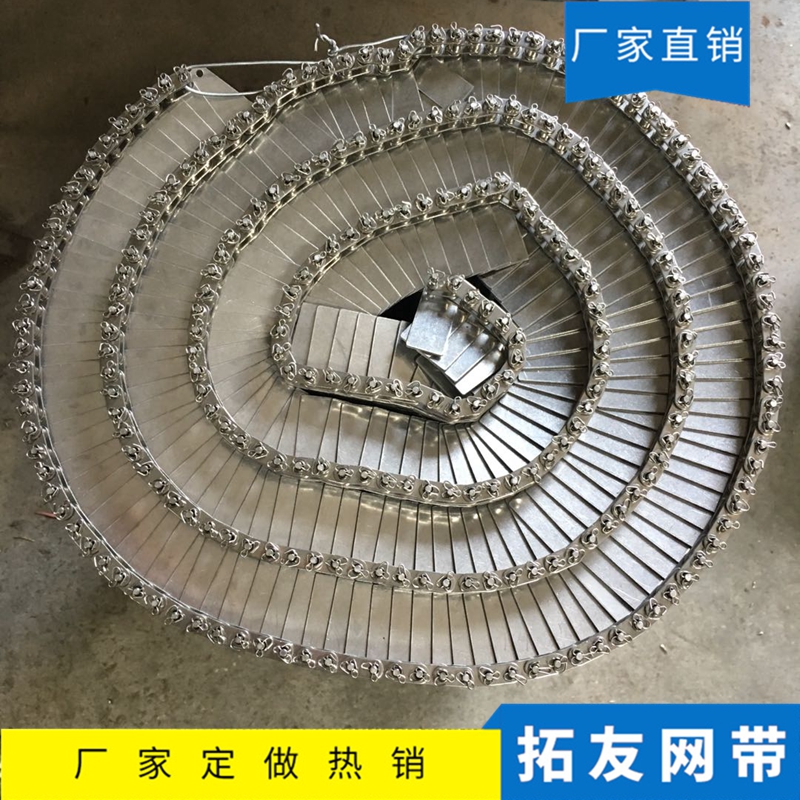 链条网带 (3)