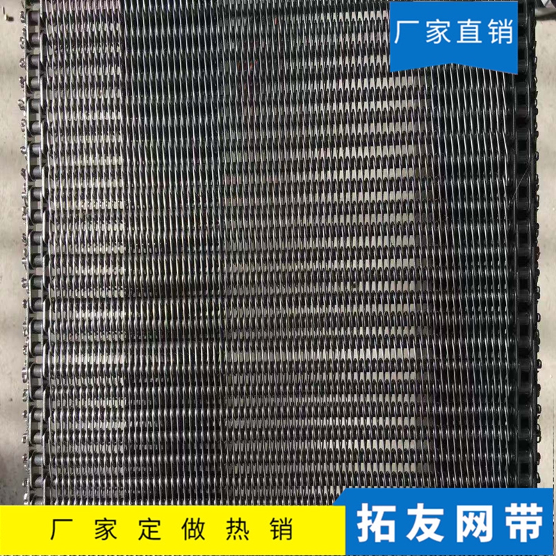 链条网带 (6)