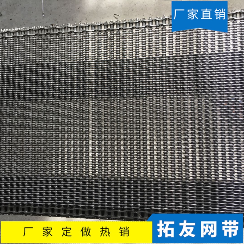 链条网带 (10)