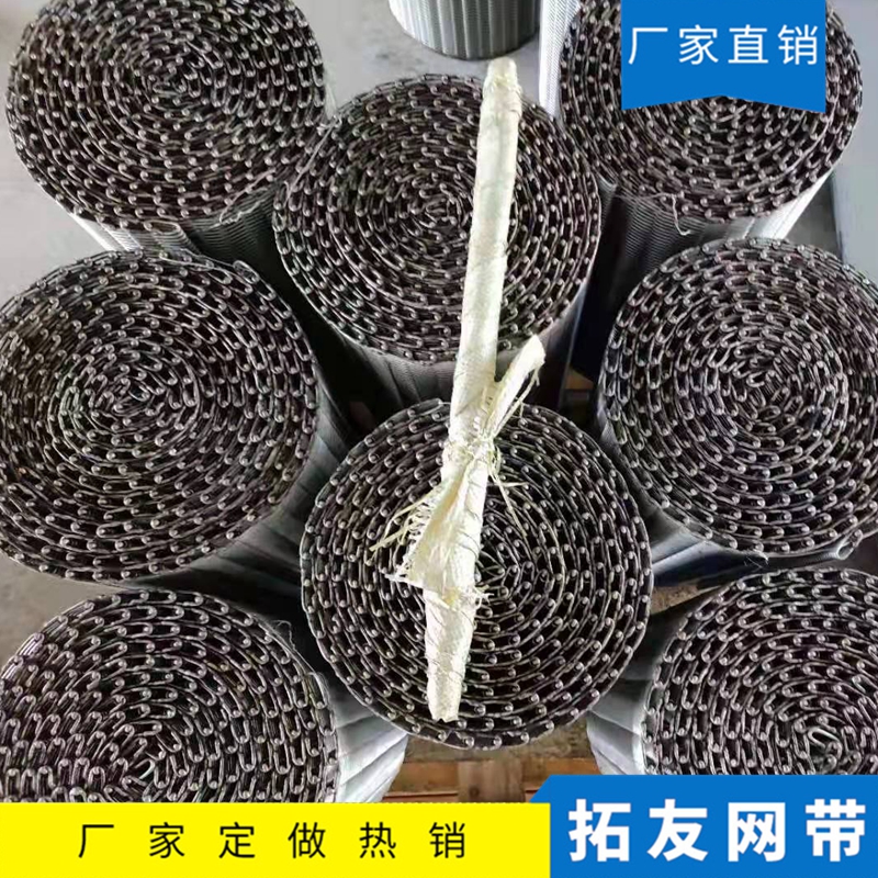 烧结炉网带 (5)