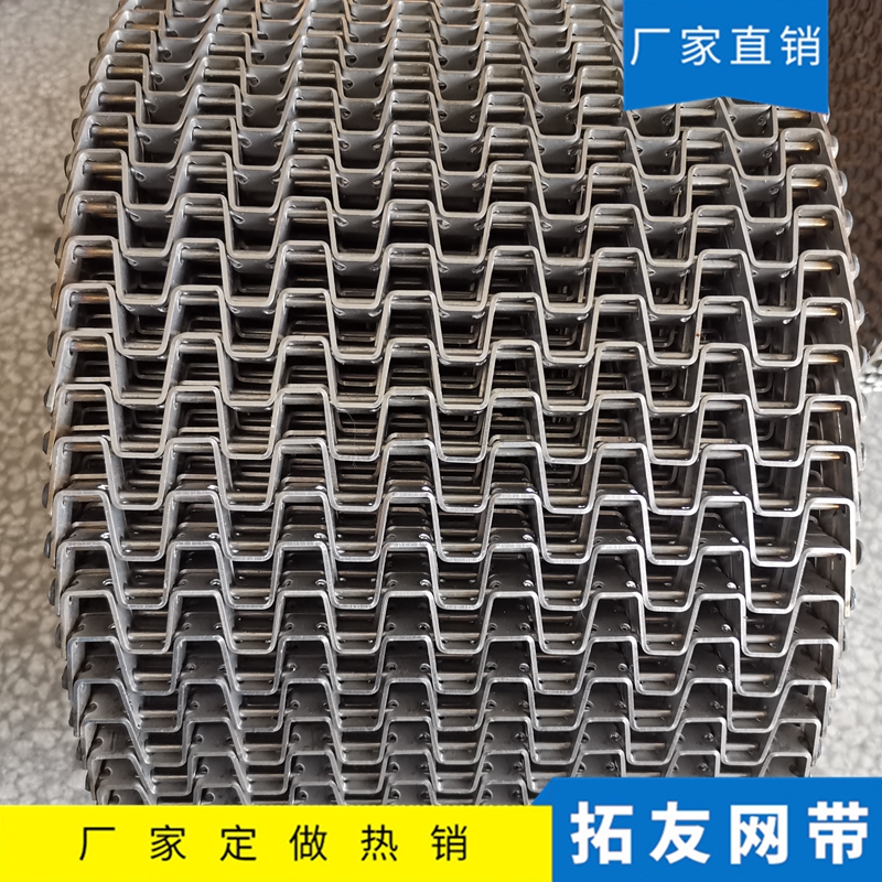 长城网带 (8)