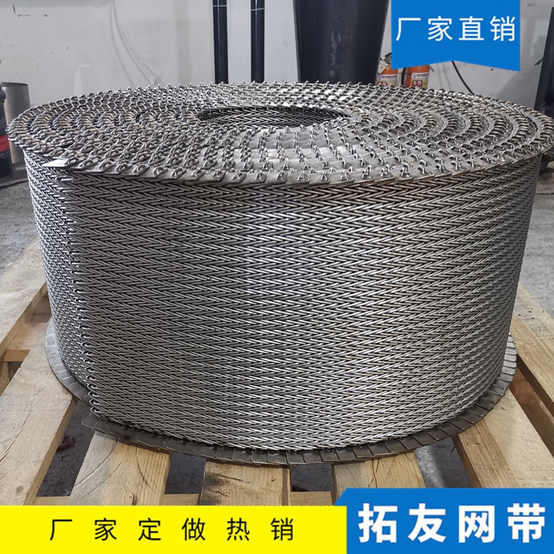 正火炉网带 (4)